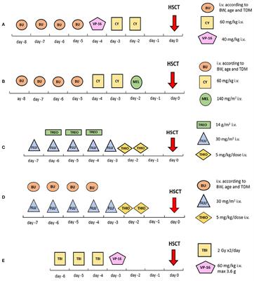 Acute Lymphoblastic Leukaemia in the Youngest: Haematopoietic Stem Cell Transplantation and Beyond